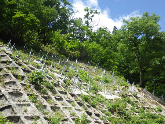 利賀河合線雪崩予防杭（田島）工事