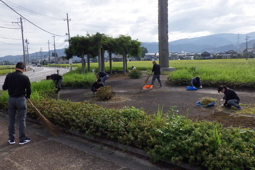 道路清掃ボランティア